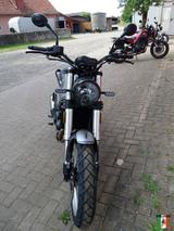 Benelli Leoncino 500 Trail Euro 5 Modell 2023 - BENELLI LEONCINO 500 TRAIL