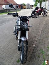 Benelli Leoncino 500 Trail Euro 5 Modell 2023 - Offers matching your search criteria