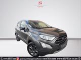 Ford EcoSport Titanium*SOUNDS*TEMP*XENON*SITZH*RKAM - Ford EcoSport Gebrauchtwagen in Düsseldorf