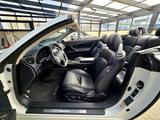 Lexus LEXUS IS 250 F-SPORT CABRIO/COUPE 208cv - Lexus IS 250: Sport