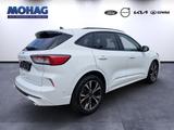 Ford Kuga 1.5 EcoBoost EU6d ST-Line X - Ford Kuga: 1.6