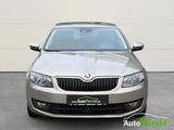 Skoda Octavia Lim. Elegance 1.4TSI+AHK+Bi-Xenon+WKR+Ga - Skoda Octavia: Elegance