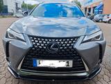 Lexus UX 250h Executive Line Garantie Tuning  - Lexus UX aus 2019