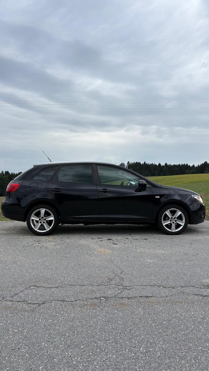 Seat Ibiza 2011 — rear view