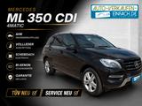 Mercedes-Benz ML 350 CDI,4Matic,Leder,AHK,SH,Klima,SD,TÜV+Serv - Mercedes-Benz ML 350 Gebrauchtwagen in Bremen
