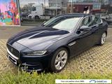 Jaguar XE 2.0 D200 S Aut. LED-Xenon Navi-Pro Leather K