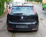 Fiat Punto 1.2 8V POP - Fiat Punto: 1.2