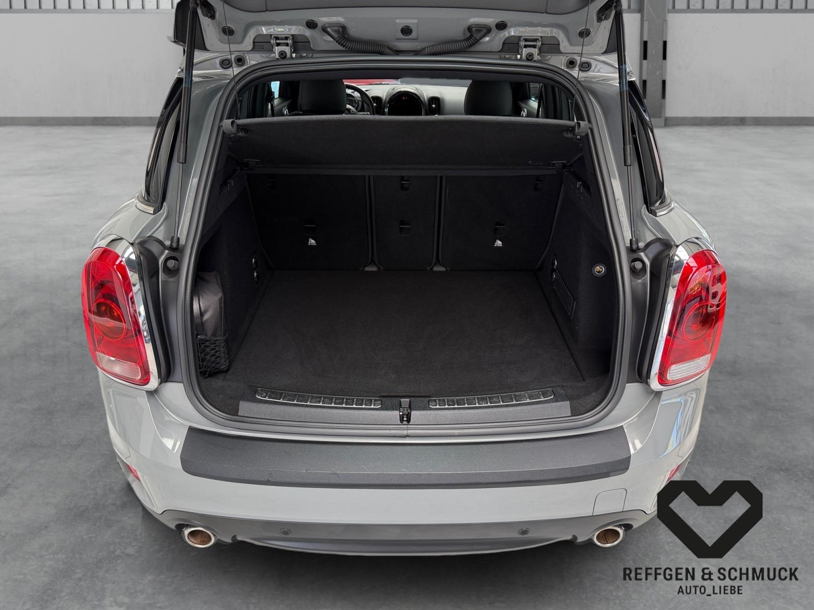 MINI COOPER S COUNTRYMAN LEDER +PEPPER+NAVI+PANO+LED+