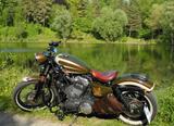 Harley-Davidson XL1200N Nightster zu Custom Bike  - HARLEY-DAVIDSON NIGHTSTER