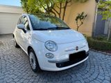 Fiat 500 Lounge weiß mit Panoramadach | TÜV neu - Fiat 500: Weis