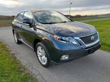 Lexus RX 450 450h Executive Line Executive Line - Lexus RX 450 Gebrauchtwagen