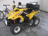Kymco KXR 250 - QUAD 250