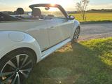 Volkswagen Beetle 1.4 TSI CUP Cabriolet CUP - VW Beetle von privat