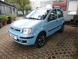 Fiat Panda 1.4 8V Natural Power,Klima,SHZ,Gas. - Fiat Panda: Natural Power