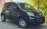 Fiat Panda Nur-16000 T KM /TÜV AU NEU*KLIMA*Euro 6* - Fiat: 1600