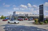 Skoda Fabia 1.0 TSI Monte Carlo ACC Pano - Skoda Fabia mit Benzin-Antrieb: Kleinwagen, Monte Carlo