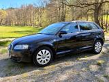Audi A3 1.9 TDI (DPF) Ambition Sportback Ambition - Audi A3 aus 2006: 1.9