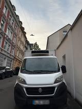 Fiat Ducato Tiefkühlwagen TÜV NEU - Fiat Ducato in Wuppertal
