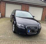 Audi A3 1.6 Ambition Sportback Ambition - Audi A3 aus 2008: Sportback Ambition