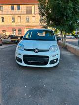Fiat Panda Easy - Klima - 1 Hand - TÜV neu