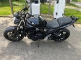 Suzuki Bandit 1250 Topzustand-12200KM-ABS - SUZUKI T 125