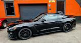 Ford Mustang Shelby Gt 350 - Ford Mustang: Shelby Gt350