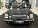Mercedes-Benz E 280 V6 4Matic*SPORTLINE*LEDER*XENON*KLIMA*GSD* - Mercedes-Benz E 280 in Essen
