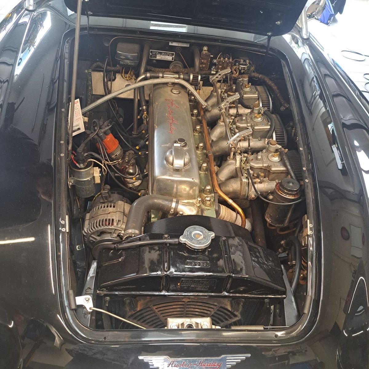 AUSTIN HEALEY ANDERE 19