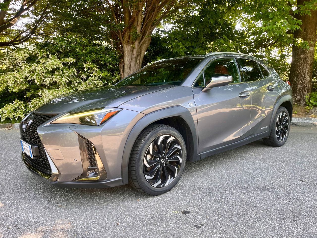 LEXUS ANDERE
