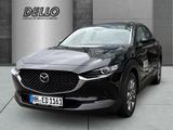 Mazda CX-30 Centre-Line 2.5 e-SKYACTIV-G 140 M Hybrid - Mazda CX-30: Centre Line