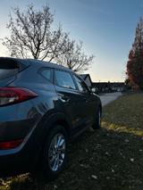 Hyundai TUCSON 1.6 CRDi DCT Trend 2WD Trend - Hyundai Tucson Trend mit Diesel-Antrieb