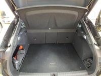 Cupra Terramar - Vorschau Bild 6