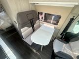 Roller Team Livingstone DUO sofort lieferbar SUMMER SALE - Roller Team Bielefeld
