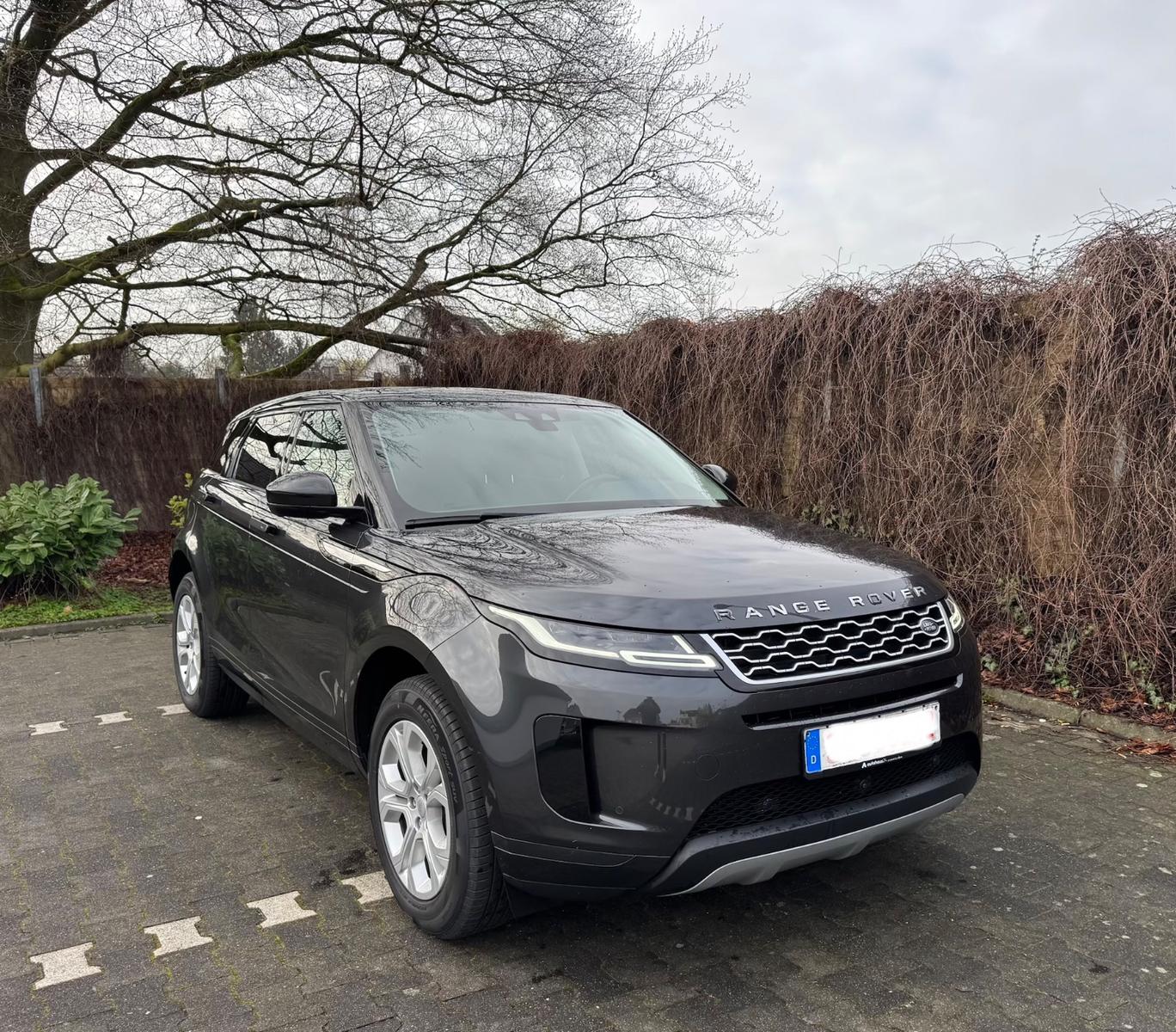 Land Rover Range Rover Evoque Led-Panorama-Leder-360 Kamera