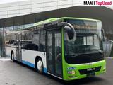MAN LION'S CITY / A78