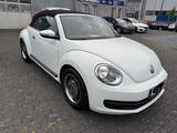 Volkswagen Beetle 1.2 TSI BMT Cabriolet - - Volkswagen Beetle in Duisburg