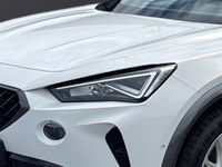 Cupra 