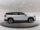 Skoda Kodiaq Selection TDI 142 kW DSG 4x4 AHK LEDER - weiße Skoda Kodiaq