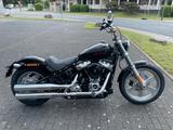 Harley-Davidson FXST Softail Standard 2024 mit Tageszulassung - HARLEY-DAVIDSON SOFTAIL STANDARD FXST