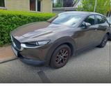 Mazda CX-30 - Mazda CX-30 Diesel Gebrauchtwagen