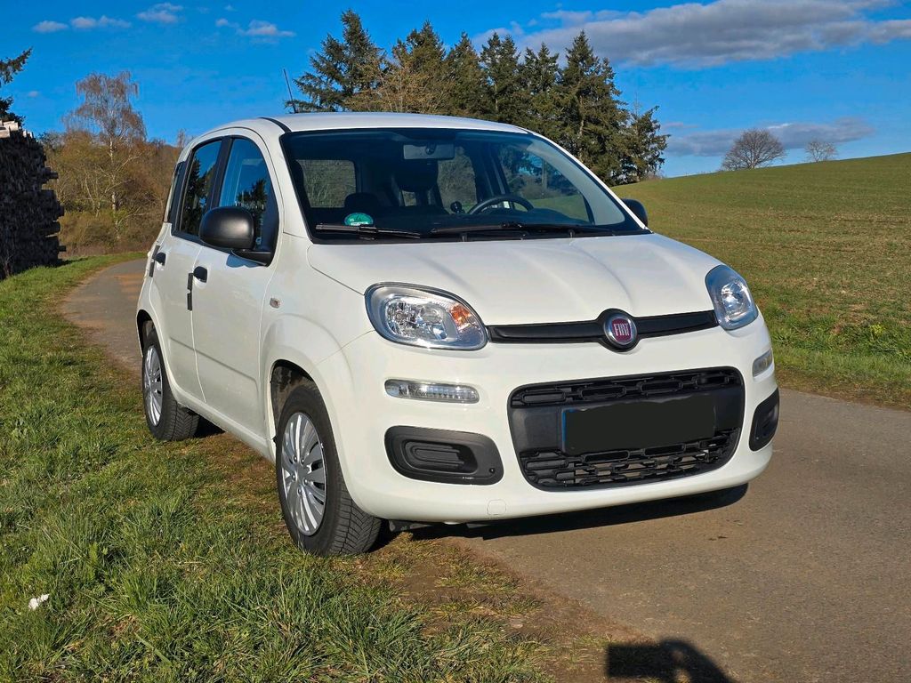 Image of Fiat Panda
