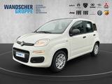 Fiat Panda 1.0 Pandina Icon PDC, TEMPOMAT, BLUETOOTH - Fiat Panda Tageszulassungen