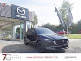 Mazda CX-30 Homura 140 Automatik Navi|Alexa|LED - Mazda CX-30 Homura mit Benzin-Antrieb