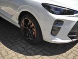 Cupra Terramar VZ 2.0 TSI 4Drive DSG Pano HD-Matrix - Gebrauchtwagen in Lübeck