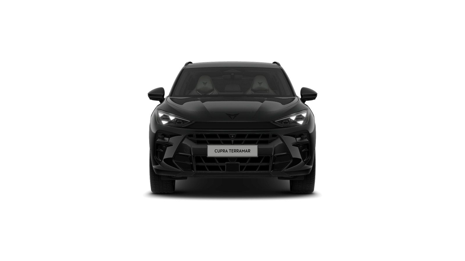 Cupra Terramar - Bild 2