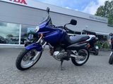 Suzuki XF 650 Freewind *inkl. Koffersatz* - SUZUKI 650 FREEWIND XF