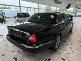 Jaguar XJ8 4.2 Liter Executive - Jaguar XJ8 Gebrauchtwagen
