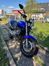 Honda Hornet pc34 - Offers matching your search criteria