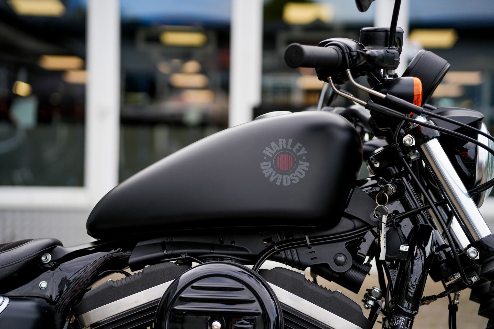 Fahrzeugabbildung Harley-Davidson XL883N - Iron - seltenes Neufahrzeug (Tageszul.)
