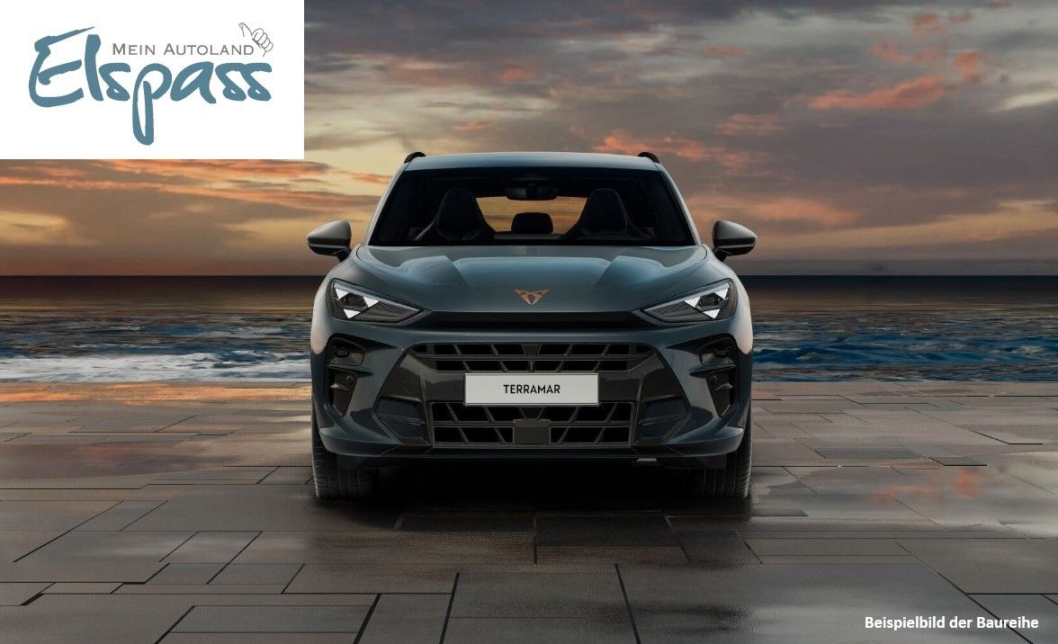 Cupra Terramar - Bild 2
